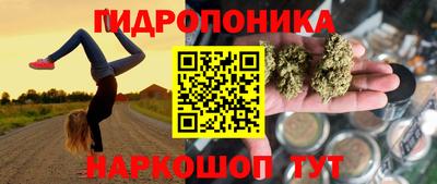 спайс Будённовск