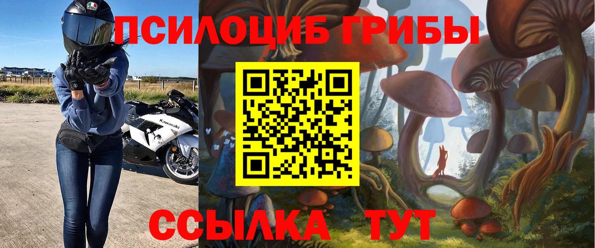 Псилоцибиновые грибы ЛСД Осинники