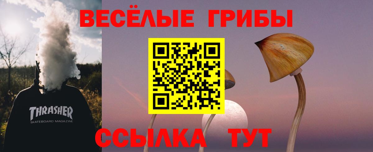 Псилоцибиновые грибы Cubensis  Псилоцибиновые грибы Cubensis  Вход с VPN  Осинники 